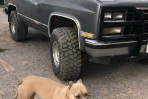 1989 Chevrolet Blazer V10