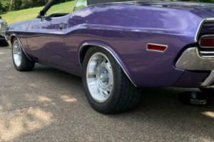 1970 Dodge Challenger Photo