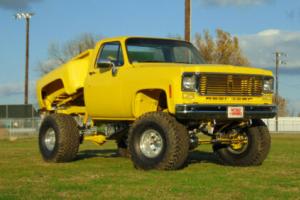 1976 Chevrolet Other Pickups Photo