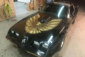 1979 Trans Am SE T-top, 4-speed, Shaker hood, Black and Gold, documented Y84
