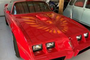 1980 Pontiac Firebird Photo