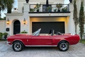 1967 Ford Mustang Shelby GT-350 Tribute Photo