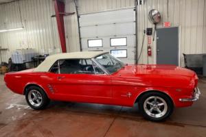1966 Ford Mustang