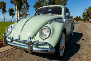 1963 Volkswagen Beetle - Classic Two Tone Photo