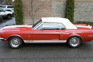 1968 Ford Mustang Shelby GT500 Convertible Photo