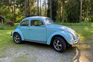 1961 Volkswagen Beetle - Classic 1961 VOLKSWAGEN BEETLE/PAN OFF RESTORATION Photo