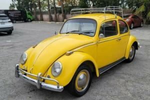 1965 Volkswagen Beetle - Classic REBUILT MOTOR, NEW INTERIOR