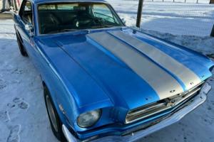 1965 Ford Mustang pony Photo