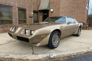 1981 Pontiac Trans Am - 400 Photo