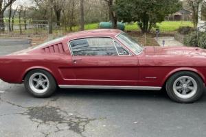 1965 Ford Mustang fastback Photo