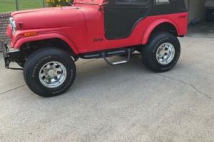 1976 Jeep Other Photo