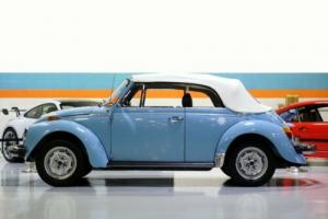 1979 Volkswagen Beetle-New Photo