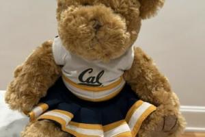 RARE UC Berkeley Cal Bears Plush Teddy Bear Cheerleader Photo
