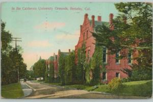Berkeley California~In The University Grounds~1910 Postcard