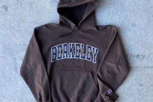 VINTAGE Y2K Champion Berkeley embroidered Spell Out Hoodie Sweatshirt Brown L