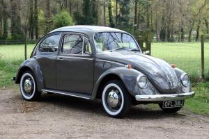 Volkswagen Beetle standard car Grey eBay Motors #171057319140