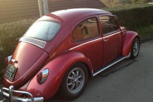  1971 VW 1600 Resto Cal Beetle 