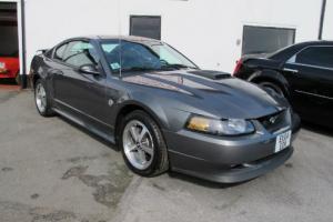  2004 FORD MUSTANG MACH 1, 4.6 LITRE 32v 5 SPEED MANUAL,  Photo