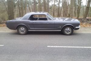  FORD MUSTANG 1966 , NO RUST, NO FILLER, LOW MILES  Photo