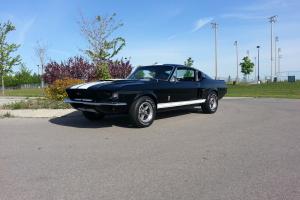 Ford : Mustang Fastback With Shelby Feature Photo