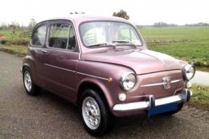  SPECIAL 1973 FIAT 600L FULLY RESTORED BY CLASSIC FIAT SPECIALISTS  Photo