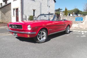  1964 1/2 Ford Mustang Convertable  Photo