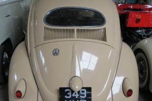  1956 VOLKSWAGEN BEETLE BEIGE VW BUG CAMPER CLASSIC VINTAGE  Photo