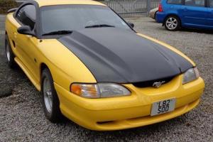 Ford Mustang  Yellow eBay Motors #111052349104 Photo