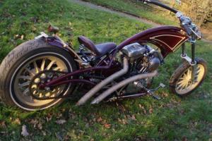  Custom Harley-Davidson  Photo
