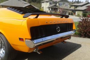 Ford : Mustang BOSS Clone Photo