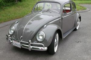 1962 Volkswagen Beetle Photo