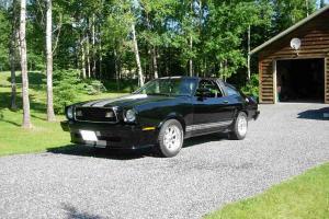Ford : Mustang Mustang II King Cobra