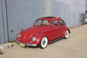  61 Volkswagen Beetle Ragtop 