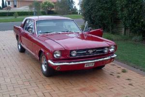  Ford Mustang 1966 GT Hardtop  Photo