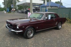  Ford Mustang 1966 2D Hardtop 3 SP Automatic 4 7L Carb in Sydney, NSW 