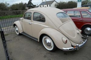  1957 Oval window Volkswagen Beetle 