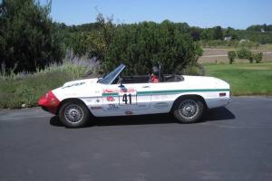1978 Alfa Romeo Spider Racer