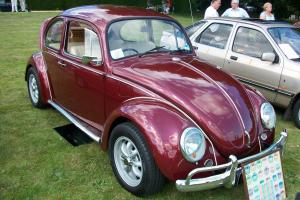  1969 Volkswagen Beetle 1500 Nut and Bolt Full Restore - Must See Beetle -  Photo