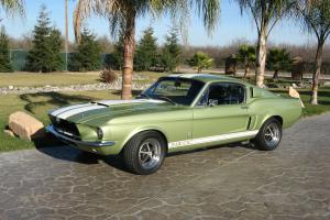 1967 Shelby GT 500 Photo
