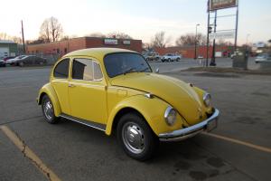 1969 Volkswagen Beetle Bug Photo