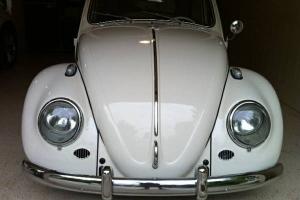 1964 VW Volkswagen Beetle Bug Restored resto mod California hot rod 64 sedan Photo