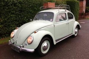  1963 Classic VW Beetle  Photo