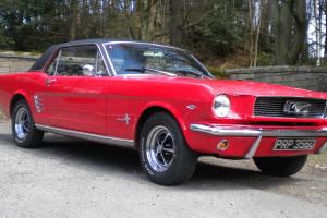  1966 FORD MUSTANG COUPE  Photo