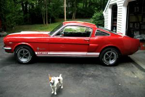 1965 Ford Mustang fastback - GT 350 clone Photo