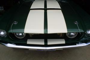 1967 Shelby GT-350  4 speed  Lax Built  SAAC Member Photo
