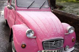  PINK 1989 2 CV newly restored, new galvanised chassis MOT July 13 Taxed July 13  Photo