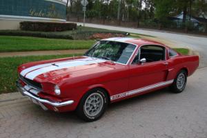 007 SHELBY GT 350 TRIBUTE W/ RARE PAXTON SUPERCHARGER Photo