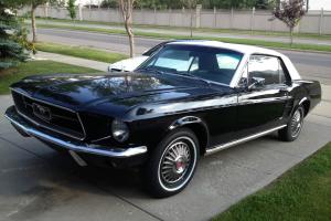 Ford : Mustang 2 Dr HT Photo