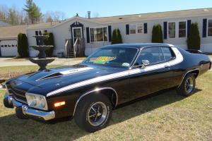 1974 Plymouth Roadrunner Base Coupe 2-Door 6.6L