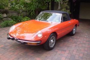  Alfa Romeo Spider 2000 Veloce 1974 2D Roadster 5 SP Manual 2L Twin Carb  Photo